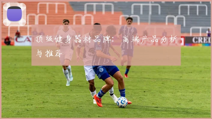 顶级健身器材品牌：高端产品分析与推荐