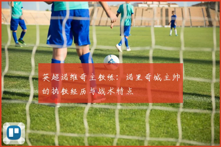 英超诺维奇主教练：诺里奇城主帅的执教经历与战术特点