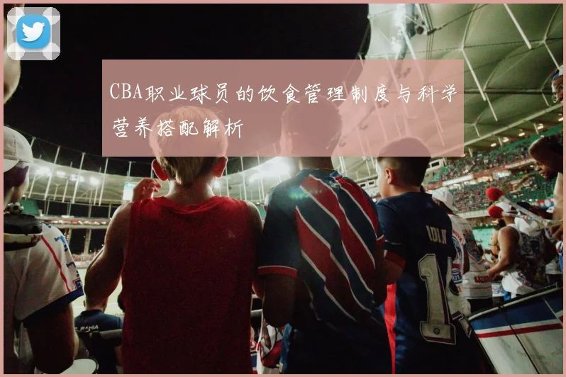 CBA职业球员的饮食管理制度与科学营养搭配解析