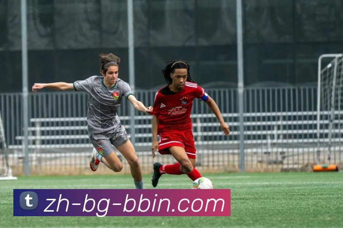 bbin宝盈平台生态图