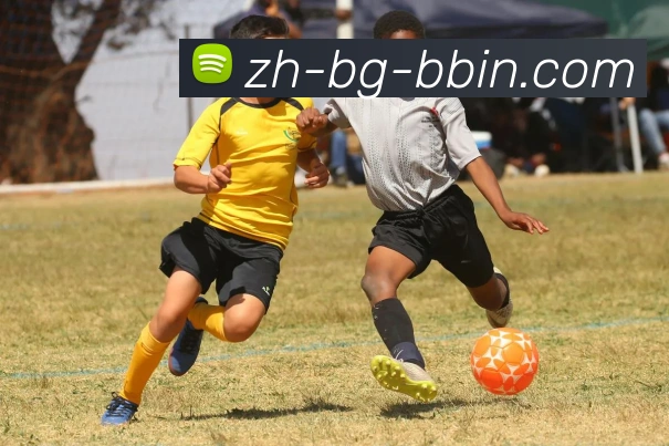 bbin宝盈APP 封面图