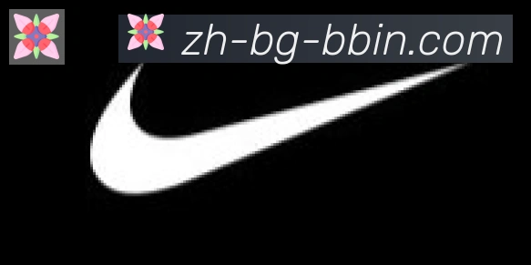 bbin宝盈合作伙伴